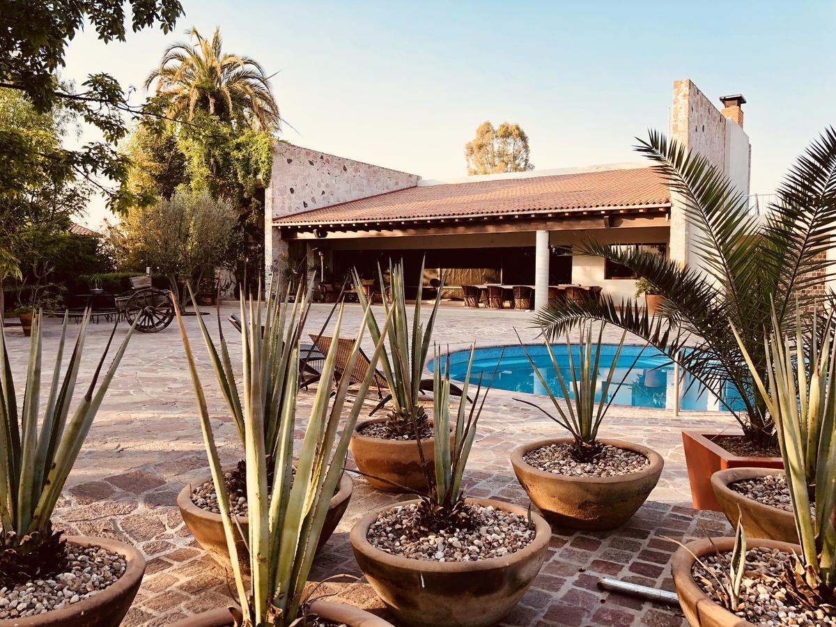 Bed and Breakfast Maria & Bernardo Casa - Vinedo El Coyote Exterior foto